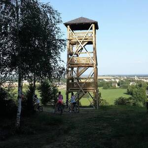 Vakuově-tlaková impregnace (profi impregnace)