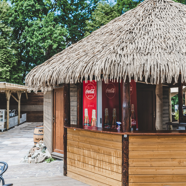 Královská impregnace (olejově-vakuová impregnace)