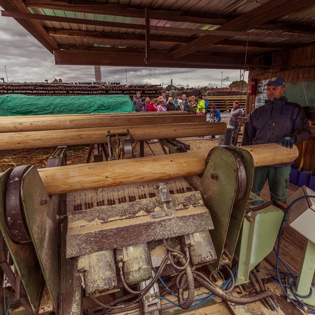 Den otevřených dveří