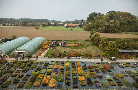 Inspirace: Dny otevřených vrat v zahradnictví Herba Grata